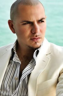 pitbull-528369l - SUPER POZA CU PITBULL-VA PLACE