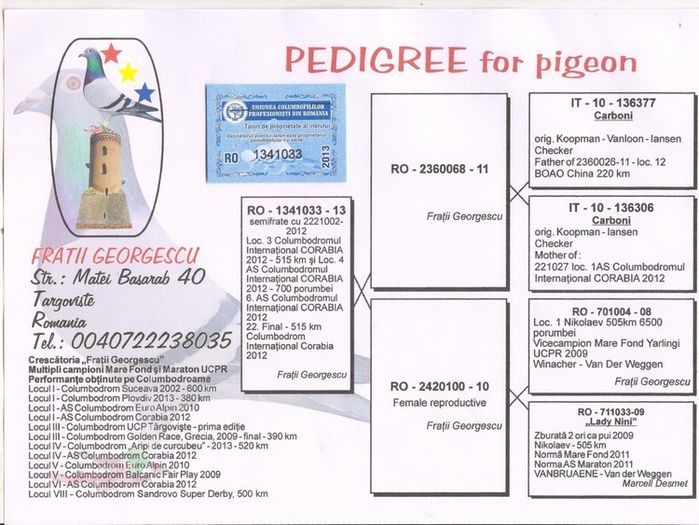 Pedigree Ro 1341033-2013 M loc 4 Finala