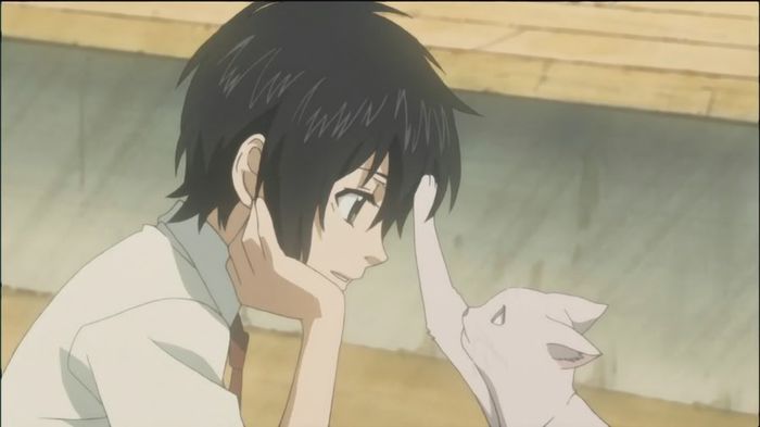 miharu 20