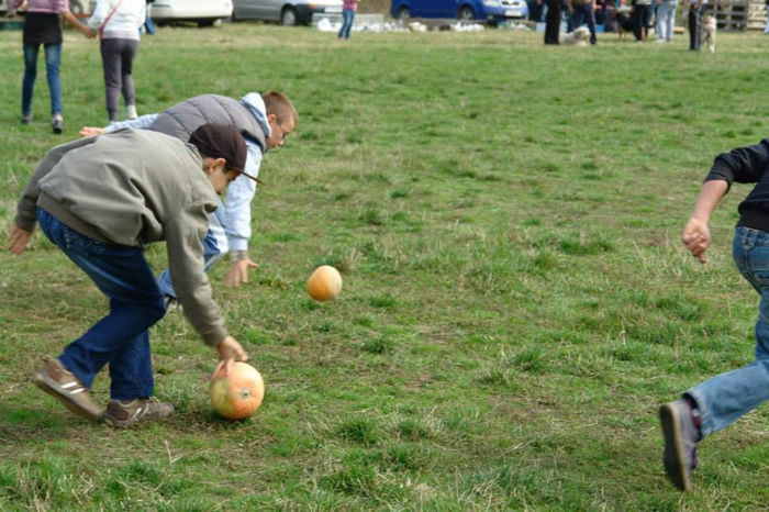 concursul cu bostani