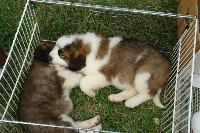 600759_661502047208229_2011438665_n