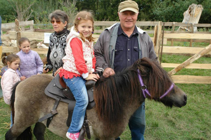 603925_661525210539246_128055138_n