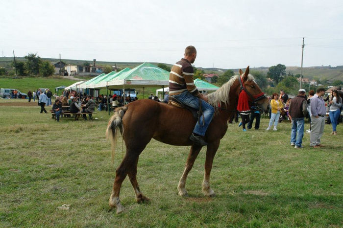 734116_661490947209339_1155919388_n