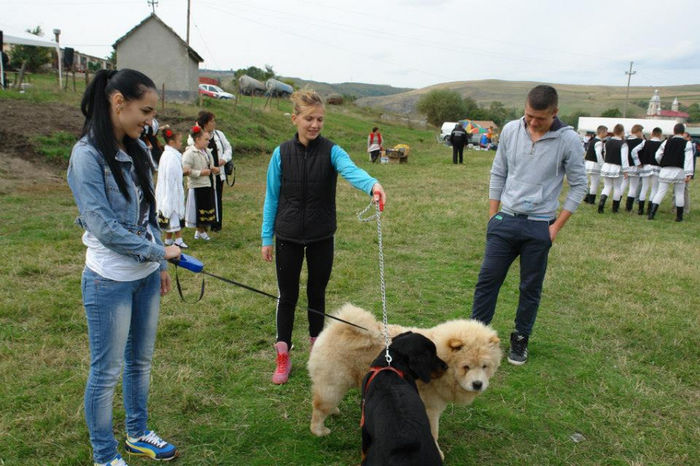 1013458_661501563874944_312903556_n