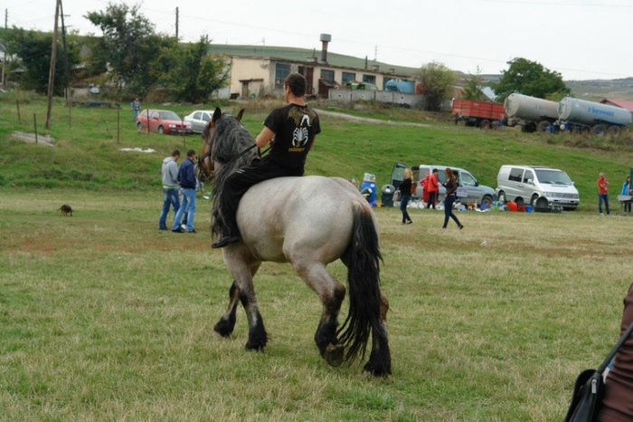 1374963_661501440541623_39397760_n - ziua_fermierului2013