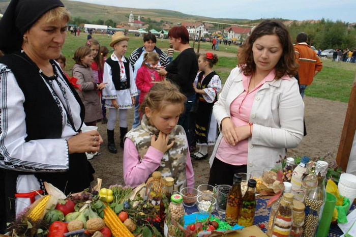 PREZENTAREA LUCRARILOR COPIILOR DI SAT - ziua_fermierului2013