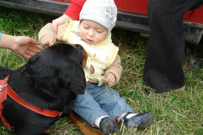 1378406_661526507205783_186505360_n