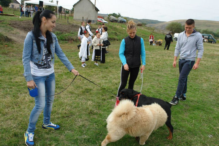 1379655_661501483874952_616185828_n