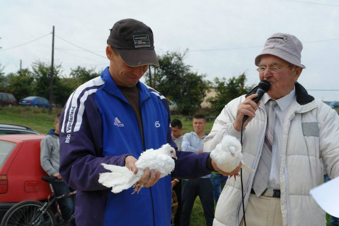 1379683_661498547208579_82459894_n