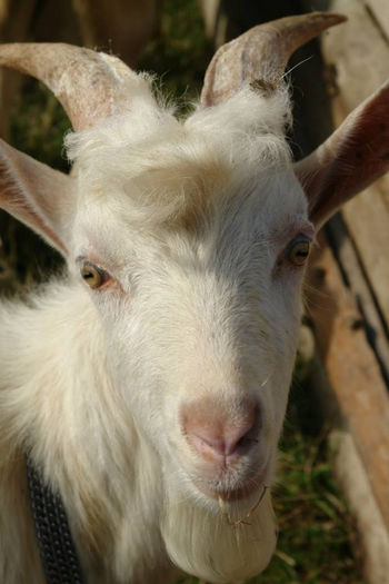 1379684_661512643873836_593922892_n