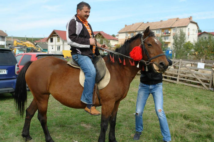 PETRE SI IAPA LUI - ziua_fermierului2013