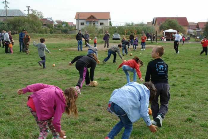 1382977_661497073875393_1629547511_n