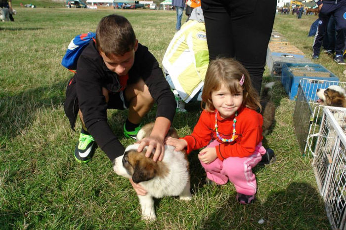 1383215_661500600541707_1885021994_n