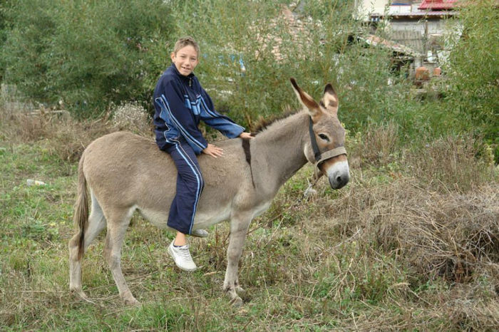 1383583_661527980538969_374692932_n - ziua_fermierului2013