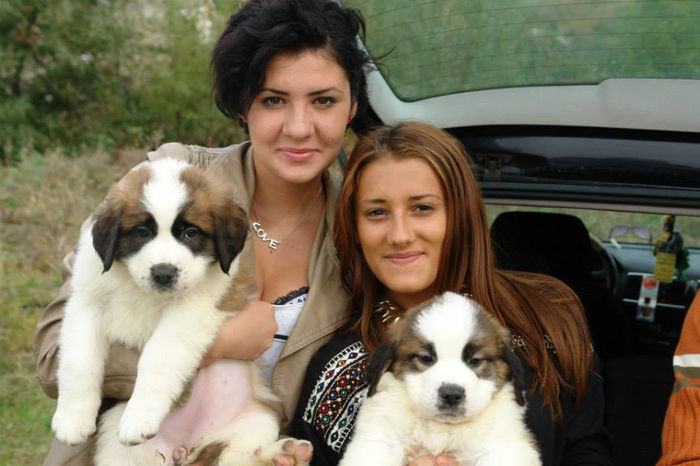 1381304_661501383874962_1585399599_n