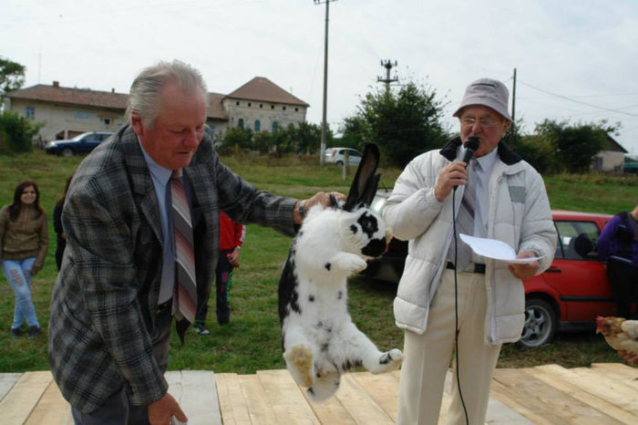 1381660_661498267208607_1100498401_n