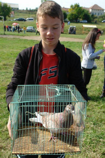 MICUL FERMIER ASA SE INCEPE