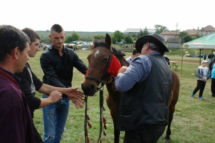 1381939_661490973876003_2041599623_n