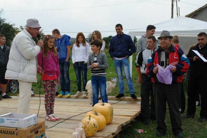 1382088_661514943873606_781949126_n - ziua_fermierului2013