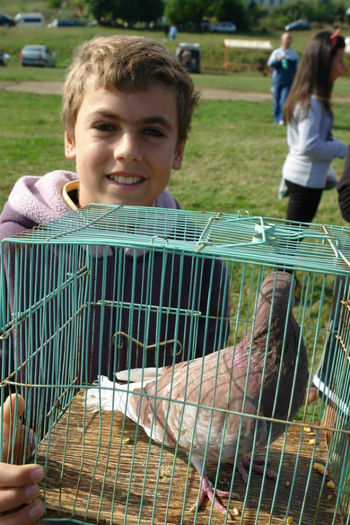 MICUL FERMIER ASA SE INCEPE
