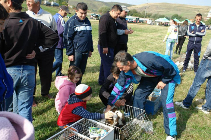 1383885_661500477208386_2133474338_n - ziua_fermierului2013