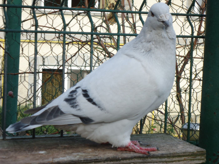 DSC04026