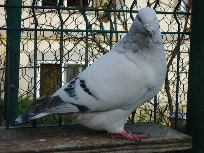 DSC04027