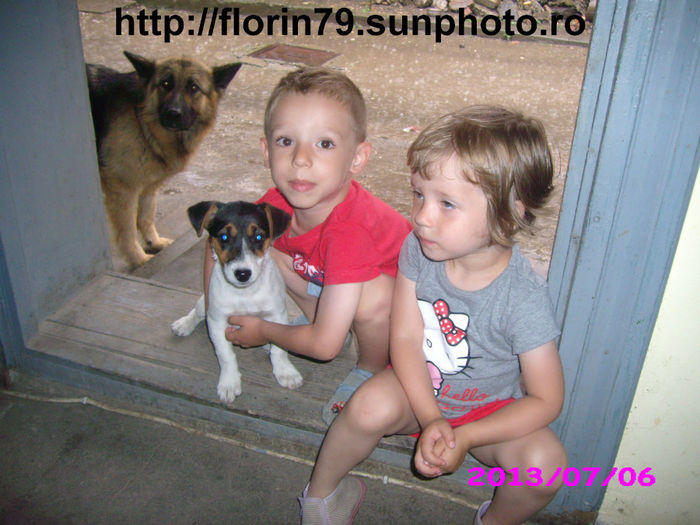 Catelusa jack russel noua membra in familie - Cainii mei