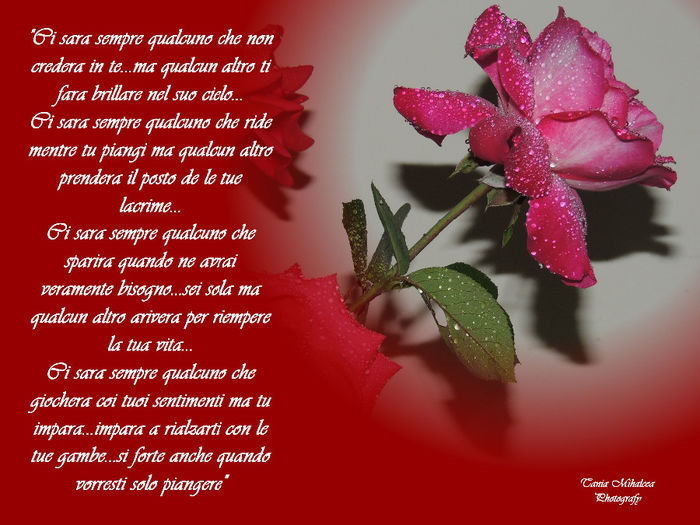DSCN1836
