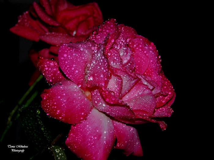 DSCN1855