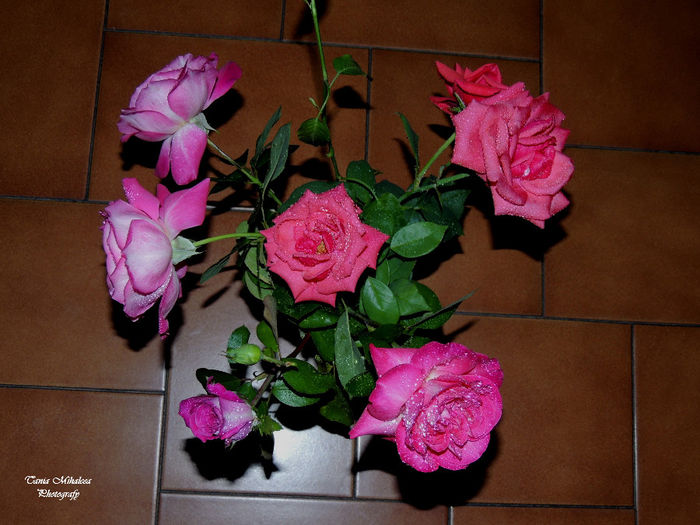 DSCN1859