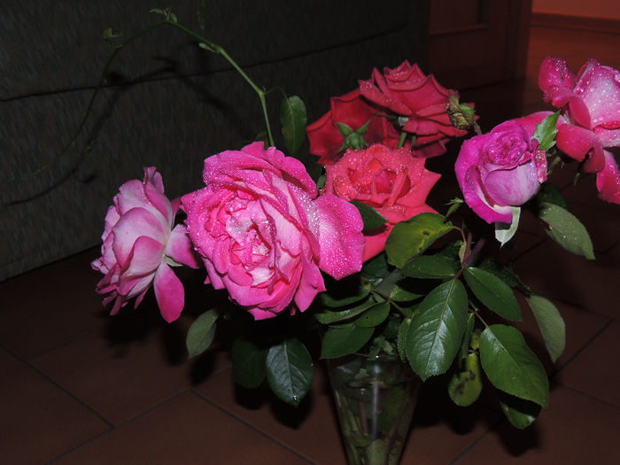 DSCN1865