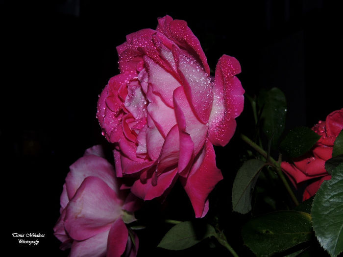 DSCN1872
