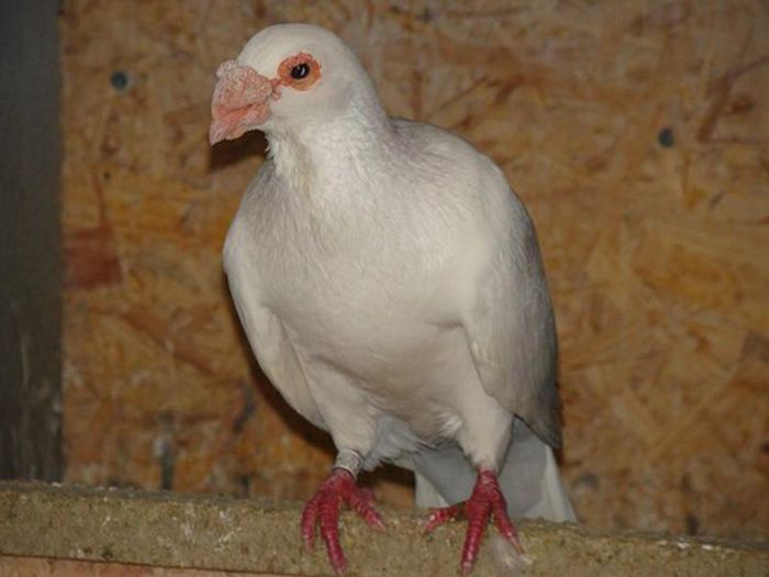 3739719786_9de9d17ce8