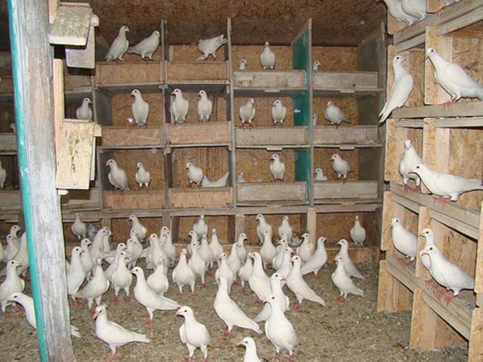 3738926801_e325d63832