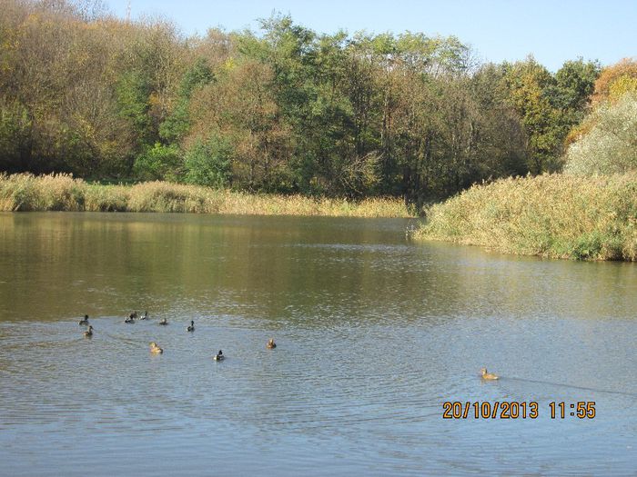 IMG_0668 - Toamna in Iasi