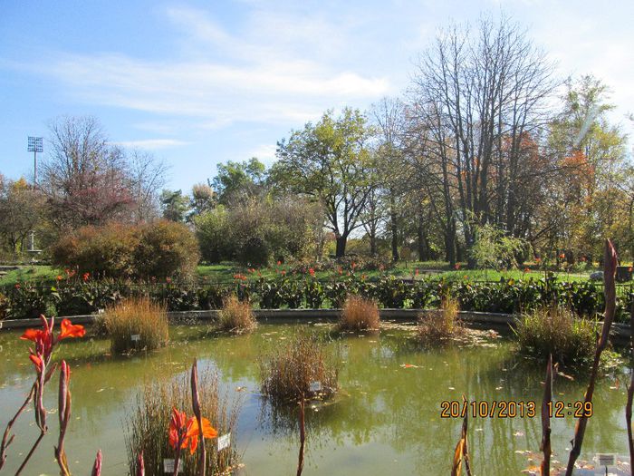 IMG_0682 - Toamna in Iasi