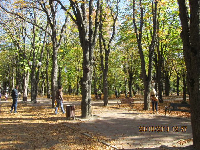 IMG_0705 - Toamna in Iasi