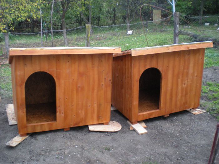 DSCN6784 - 1 Custi cotete lemn --- REALIZATE