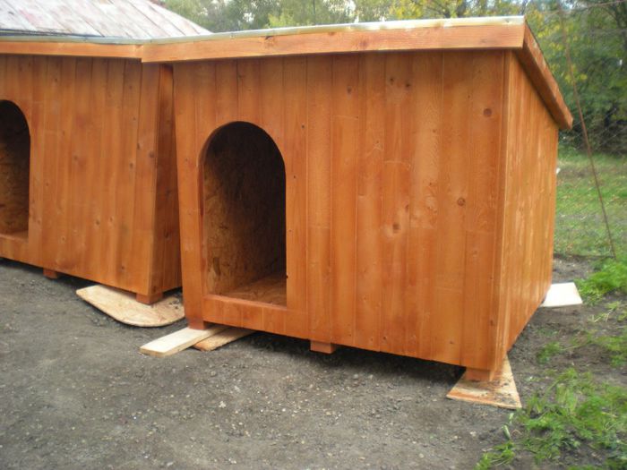 DSCN6793 - 1 Custi cotete lemn --- REALIZATE