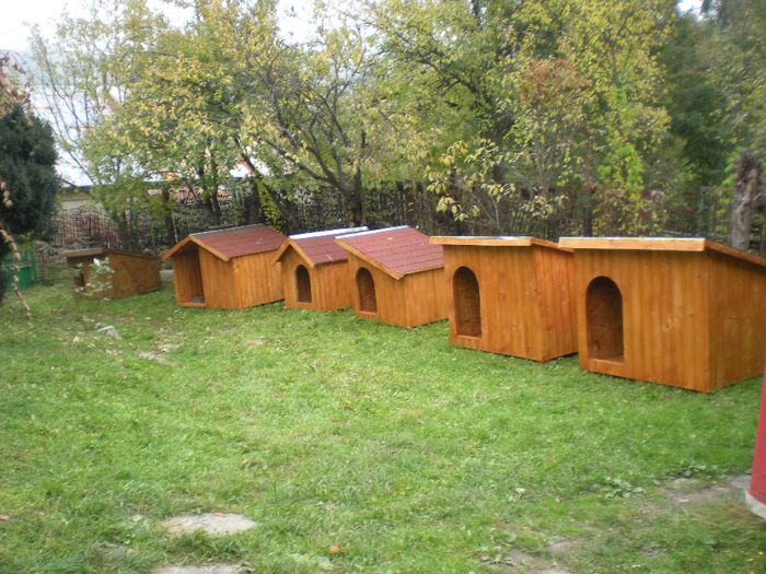 DSCN6814 - 1 Custi cotete lemn --- REALIZATE