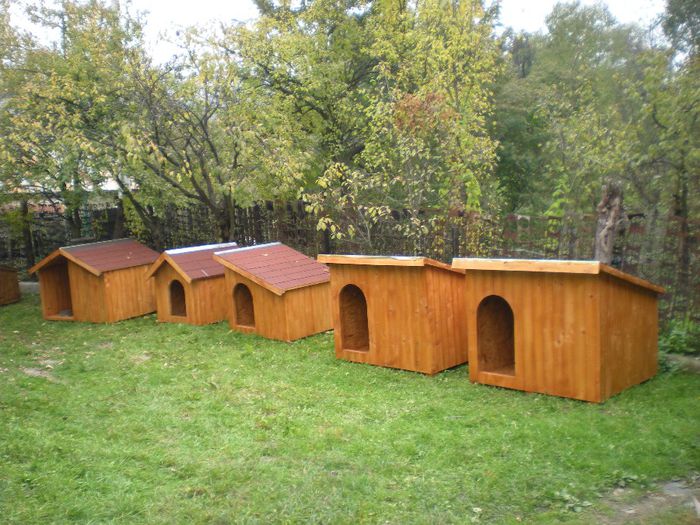 DSCN6816 - 1 Custi cotete lemn --- REALIZATE