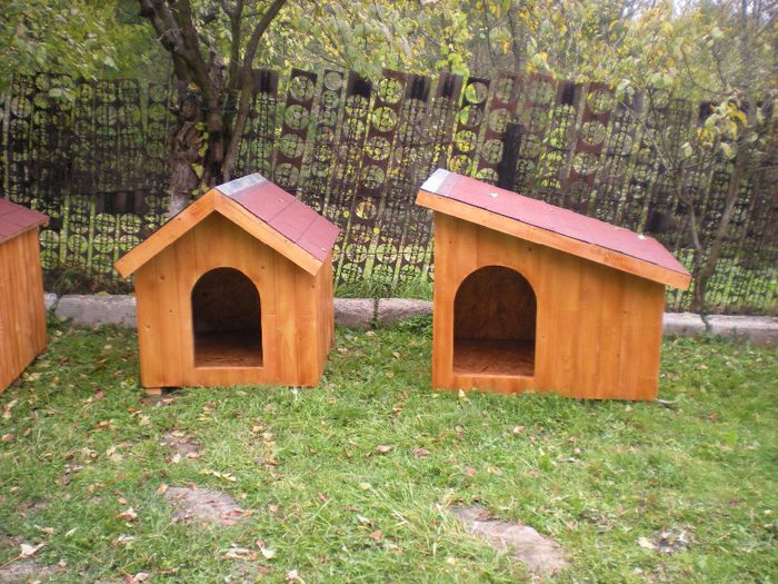 DSCN6819 - 1 Custi cotete lemn --- REALIZATE