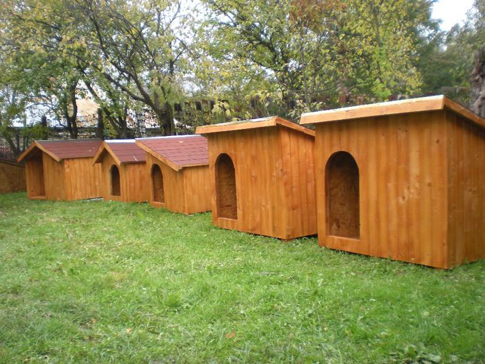 DSCN6837 - 1 Custi cotete lemn --- REALIZATE