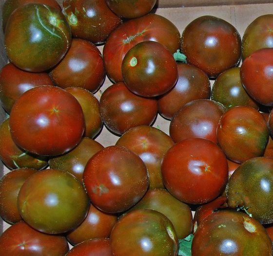 black_russian_tomato