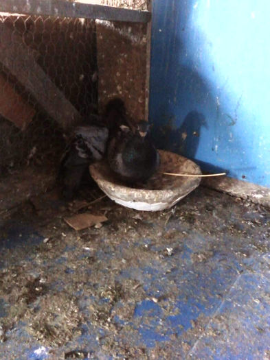 Photo0329 - matca2012 -2012