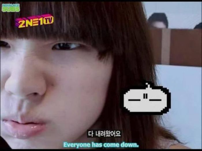 ccc - 2NE1 funny moments