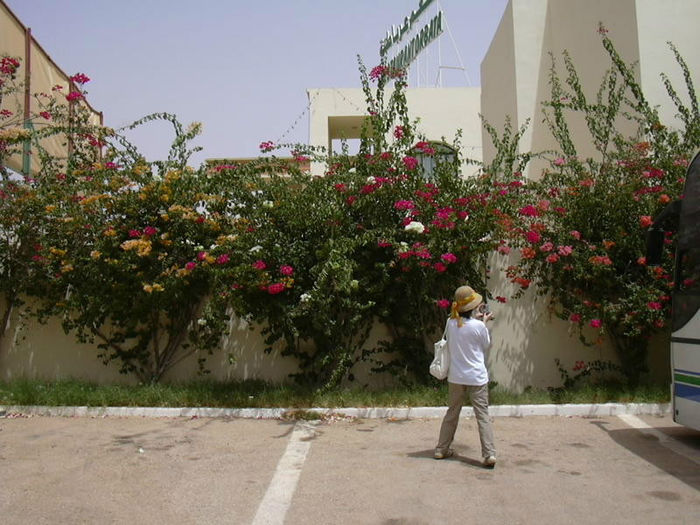 DSCN0791 - Tunisia 2010