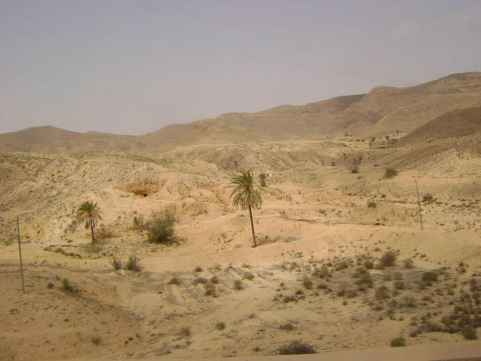 DSC04995 - Tunisia 2010