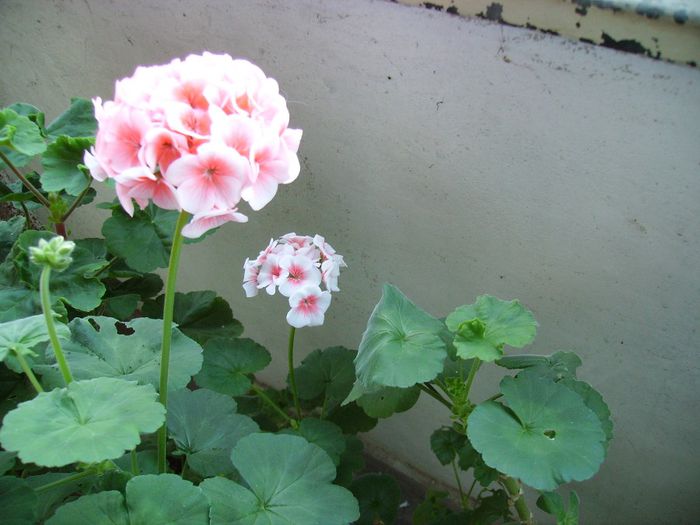 PICT0125